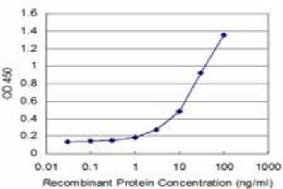 ELISA: beta-Synuclein Antibody (3H4) [H00006620-M07]