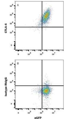 Flow Cytometry: T Cell Exhaustion Marker (Flow) Antibody Pack [NBP3-12864]