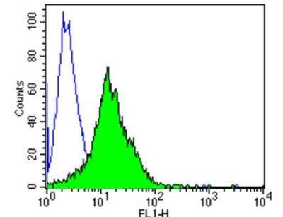 Flow Cytometry: TCR V delta 2 Antibody (15D) [NBP2-22508]