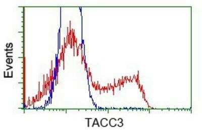 Flow Cytometry: TACC3 Antibody (OTI6F1) - Azide and BSA Free [NBP2-74436]