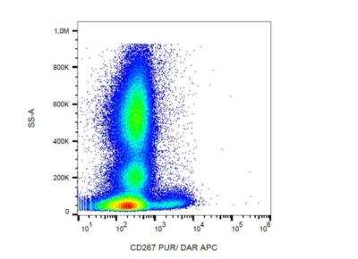 Flow Cytometry: TACI/TNFRSF13B/CVID Antibody (1A1) - BSA Free [NBP3-09143]
