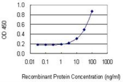 ELISA: TC21/R-Ras2 Antibody (2D3-4B8) [H00022800-M01]