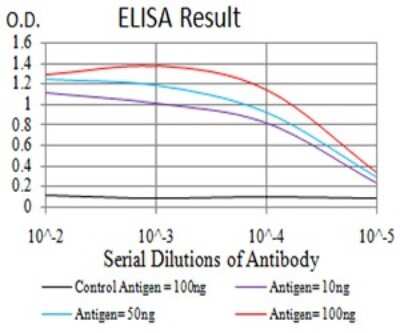 ELISA: TCF4 Antibody (7B1B3) - BSA Free [NBP2-61897]