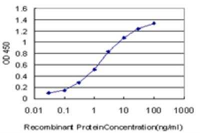 ELISA: TCF7L2 Antibody (3A4) [H00006934-M06]