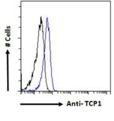 Flow Cytometry: TCP1 alpha Antibody [NB100-1400]