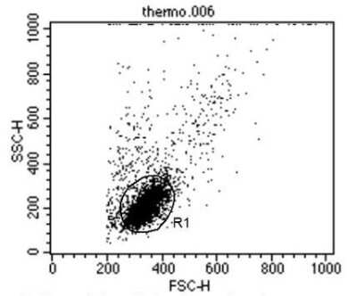 Flow Cytometry: TCR V alpha 12.1 Antibody (6D6.6) [NBP2-22491]