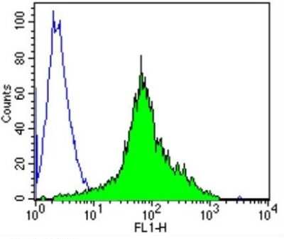 Flow Cytometry: TCR V alpha 12.1 Antibody (6D6.6) [NBP2-22491]