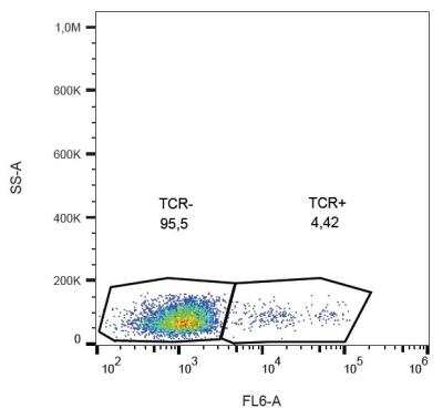 Flow (Cell Surface): TCR gamma/delta Antibody (B1) [NBP2-62225]