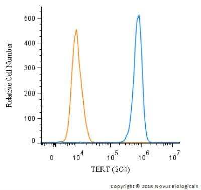 Flow Cytometry: TERT Antibody (2C4) - Azide and BSA Free [NBP2-80975]