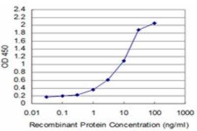 ELISA: TESK2 Antibody (5G1) [H00010420-M08]