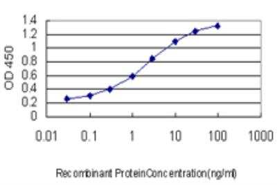 ELISA: TFAP4 Antibody (7A10) [H00007023-M03]