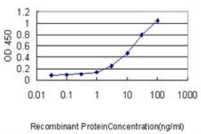 ELISA: TFEB Antibody (S1) [H00007942-M01]