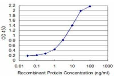 ELISA: TFIISH Antibody (4E11) [H00006920-M08]