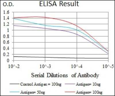 ELISA: TGF-beta RIII Antibody (1C5H11) - BSA Free [NBP2-37418]