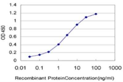 ELISA: THNSL1 Antibody (6B1) [H00079896-M08]