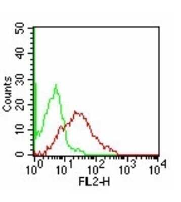 Flow Cytometry: TIM-3 Antibody (F38-2E2) - Azide Free [NBP2-27221]