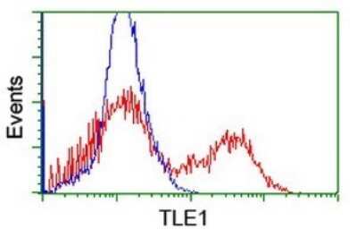 Flow Cytometry: TLE1 Antibody (OTI1H2) [NBP2-46134]