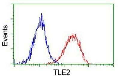 Flow Cytometry: TLE2 Antibody (OTI5A6) - Azide and BSA Free [NBP2-74531]