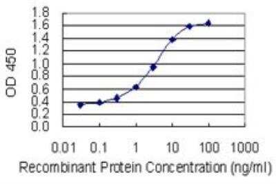 ELISA: TLK1 Antibody (4B3) [H00009874-M01]