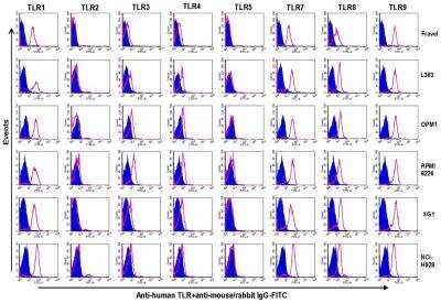 Flow Cytometry: TLR Screening Antibody Pack [NBP2-25083]