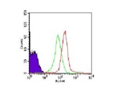 Flow Cytometry: TLR1 Antibody [NB100-56563]