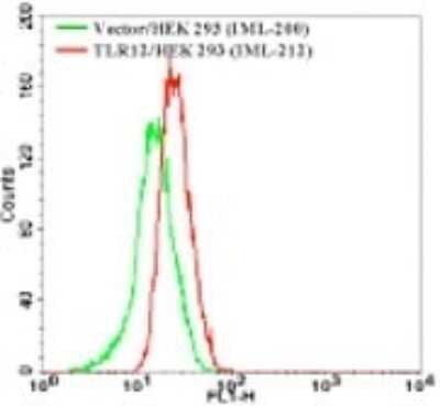Flow (Intracellular): TLR12 Antibody [NBP2-24833]