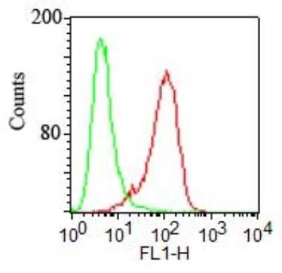 Flow Cytometry: TLR2 Antibody (T2.5) [NBP2-30097]