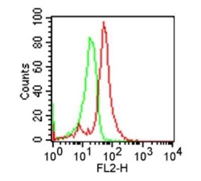 Flow (Intracellular): TLR2 Antibody (TL2.1) - Azide Free [NB100-56726]