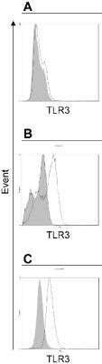 Flow Cytometry: TLR3 Antibody (40C1285.6) - BSA Free [NBP2-24875]