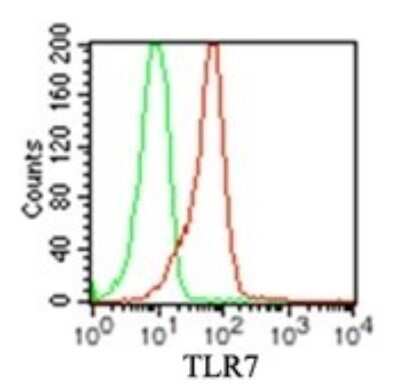 Flow Cytometry: TLR7 Antibody (4G6) - Azide and BSA Free [NBP2-25274]