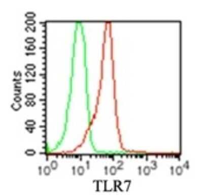 Flow Cytometry: TLR7 Antibody (4G6) - BSA Free [NBP2-27332]