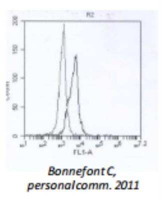 Flow (Intracellular): TLR7 Antibody (66H3) [DDX0500P-100]