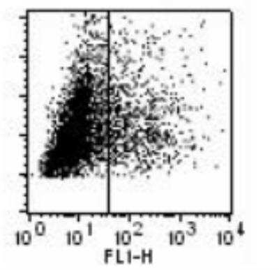 Flow Cytometry: TLR8 Antibody (307D3.01) [DDX0481P-100]