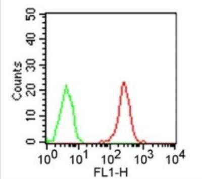 Flow Cytometry: TLR9 Antibody (26C593.2) - Azide Free [NBP2-24863]
