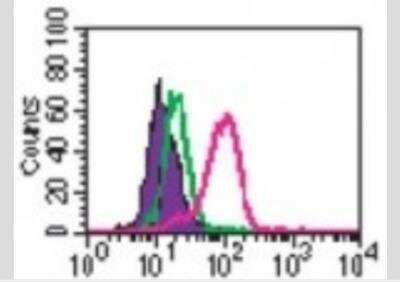 Flow (Intracellular): TLR9 Antibody (26C593.2) - Azide Free [NBP2-24863]
