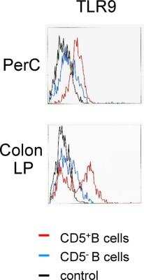 Flow Cytometry: TLR9 Antibody (26C593.2) - BSA Free [NBP2-24729]