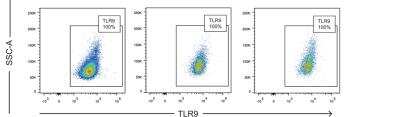 Flow Cytometry: TLR9 Antibody (26C593.2) - BSA Free [NBP2-24729]