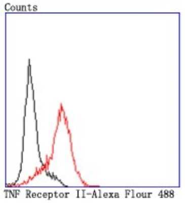 Flow Cytometry: TNF RII/TNFRSF1B Antibody (JM113-01) [NBP2-67218]