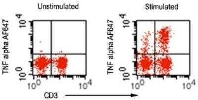 Flow Cytometry: TNF-alpha Antibody (6N2E12) [NBP2-27351]