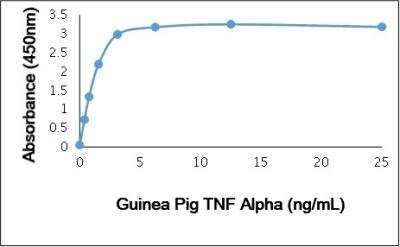 ELISA: TNF-alpha Antibody [NBP3-11332]