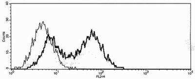 Flow Cytometry: BAFF/BLyS/TNFSF13B Antibody (5A8) - BSA Free [NBP1-97639]