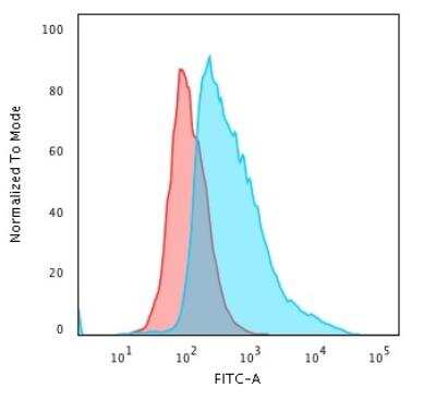 Flow Cytometry: TOP1MT Antibody (TOP1MT/488) [NBP2-44360]