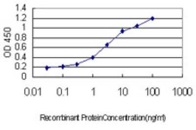 ELISA: TOPORS Antibody (5G11) [H00010210-M01]