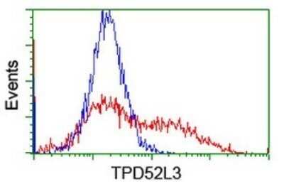 Flow Cytometry: TPD52L3/D55 Antibody (OTI8C12) - Azide and BSA Free [NBP2-74567]