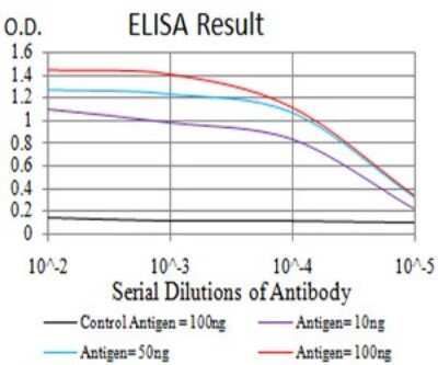 ELISA: TRAF-2 Antibody (5C2C3) - BSA Free [NBP2-61661]