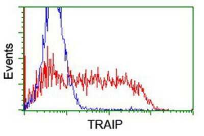 Flow Cytometry: TRAIP Antibody (OTI2D4) [NBP2-03822]