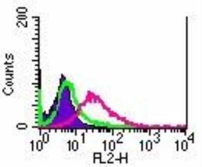Immunohistochemistry-Frozen: TRANCE/TNFSF11/RANK L Antibody (12A380) - BSA Free [NB100-56748]