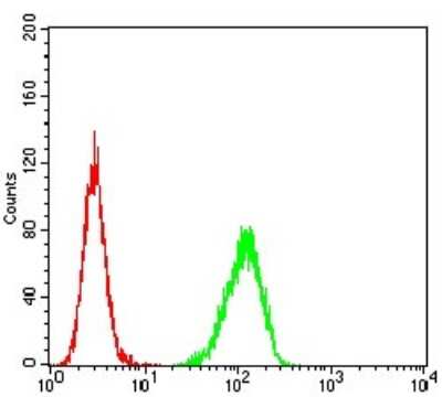 Flow Cytometry: TRANCE/TNFSF11/RANK L Antibody (8A7B9) - BSA Free [NBP2-61813]