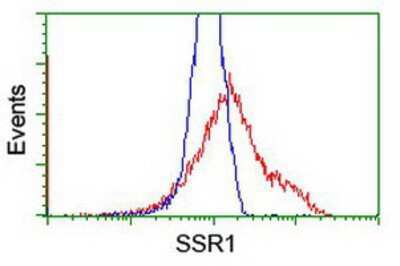Flow Cytometry: TRAP alpha Antibody (OTI4C7) [NBP2-01026]