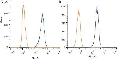 Flow Cytometry: TRF-1 Antibody (57-6) - Azide and BSA Free [NBP2-80993]